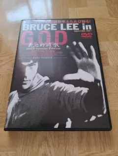BRUCE LEE in G.O.D 2003 　ブルースリー　死亡的遊戯
