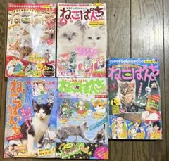 ねこぱんち 191, 185, 181, 190, 179号 5冊セット