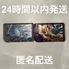 ポケモンフレンダ　ベストタッグ第一弾　フリーザー　ルカリオ　2点セット