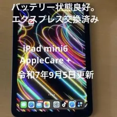 Apple iPad mini スペースグレー 本体