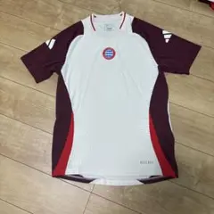 Item thumbnail for item 442e28b7-fa41-4a0a-9492-a87d3e55e1b0