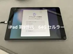 【極美品】第9世代iPad、Wi-Fi Cellular、64GB 保証有り