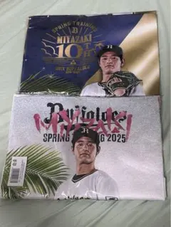 入山海斗タオル