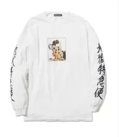 Item thumbnail for item b8a995e8-87b1-40eb-a8a5-08bd9481c116