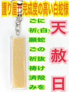 蛇の抜け殻✨スティック✨縦長✨白蛇のお守り【天赦日,定期的ご祈祷済み】金AB