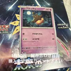 バケッチャ　在庫2