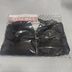 Item thumbnail for item 59b56a8a-6f02-467c-a42b-ab9e7b804c26