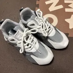 19日限り！レディーススニーカー　24.5〜25.0