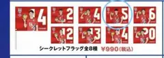 VNL 日本代表 シークレットフラッグ 大塚達宣 2025