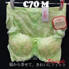 Item thumbnail for item 9c488fe8-0f59-4de0-ad79-e3d14e519d6b