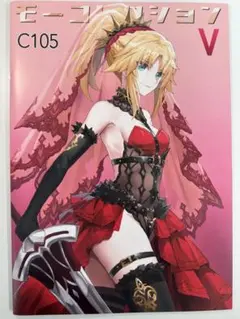 モーコレクション V C105 イラスト 本