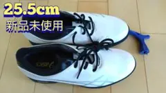 ASICS TGN901 新品未使用 25.5cm