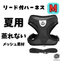 Item thumbnail for item ce8b1707-bd91-4c13-9619-c29453f9d6e2