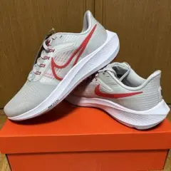 Nike AIR ZOOM PEGASUS 39❣️値下げ^ ^