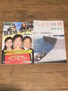 「鍵泥棒のメソッド」麻井みよこ・「八日目の蝉」角田光代　2冊まとめ売り