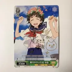 ヴァイスシュヴァルツ とある科学の超電磁砲 柵川中学の生徒 初春 TD サイン