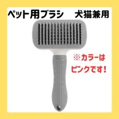 Item thumbnail for item eb16552f-fb5d-4119-b75f-437ece2ee454