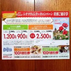 レオマワールド優待券 2枚セット
