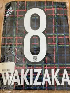 Item thumbnail for item b25d4447-4ff7-4c9f-b486-abb5801d798d