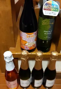 訳ありお買い得 ボジョレー ブレンドワイン スパーリングワイン