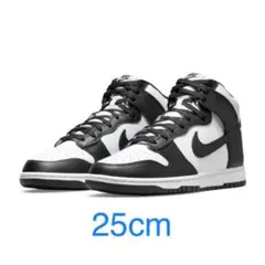 Nike Dunk High
