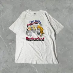 GILDAN スクリーチイン 伝統的儀式 酒 タラ キス スーベニア Tシャツ