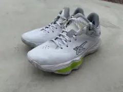 ASICS NOVA SURGE LOW