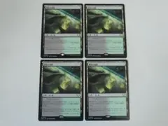 MTG 春色の湿原 久遠の終端 日 4枚セット
