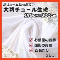 Item thumbnail for item ddd37911-ae2f-495a-b43b-c147e7b04fcf