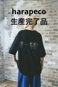 Eve harapeco はらぺこ商店 Print Tシャツ L