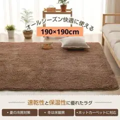 カーペット シャギーラグ 滑り止め 洗えるラグ 抗菌消臭　防ダニ　190×190