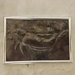 クジラさん
