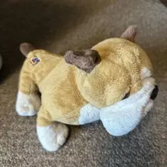 ブルドッグ　ぬいぐるみ　GANZ Webkinz bulldog