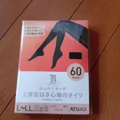 ATSUGI 60デニール ブラックタイツ L-LL
