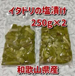 2025年最新】イタドリ塩漬けの人気アイテム - メルカリ