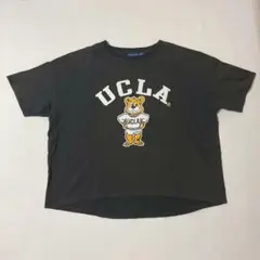 UCLA tシャツ 半袖　グレー
