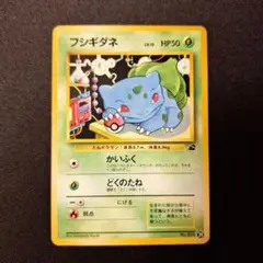 フシギダネ イントロパック 旧裏