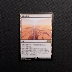 MTG 死者の原野 Field of the Dead 日本語