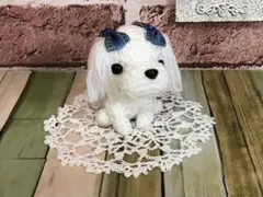 ミニサイズのお座りマルチーズ×ラウンド型コースター