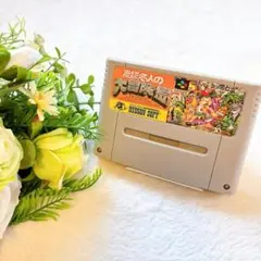 動作確認清掃済みSFCスーパーファミコン高橋名人の大冒険島任天堂Nintendo
