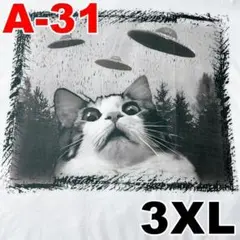 3XL A-31 猫 プリント ネコミーム 写真 半袖 Tシャツ ネコ プリント