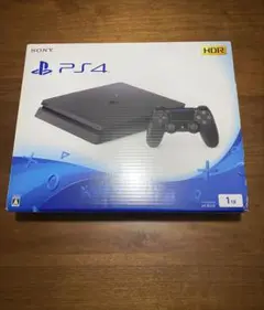 SONY PS4 箱のみ