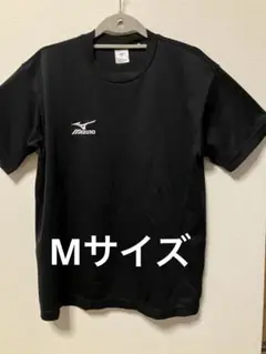 Item thumbnail for item 6ee8a5d8-5045-44e9-82f4-97e72b6d0123