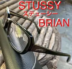 Stussy BRIAN ブラックサングラス ケース付き Stussy ブラック Brian サングラス 専用ケース付き