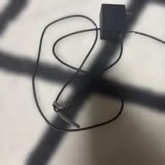 Nintendo Switch 充電器 黒