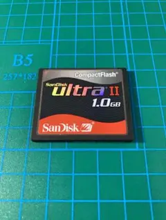 コンパクトフラッシュ 1gb 黒 sandisk