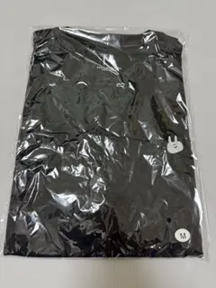 Item thumbnail for item 2e57aa31-661a-4fc2-8e71-bad70c13a4a3