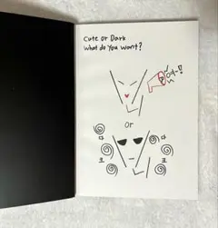 Stray Kids スキズ Iam NOT アルバム チャンビン