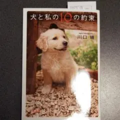 犬と私(わたし)の10の約束