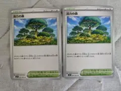 活力の森　2枚 M1S メガシンフォニア